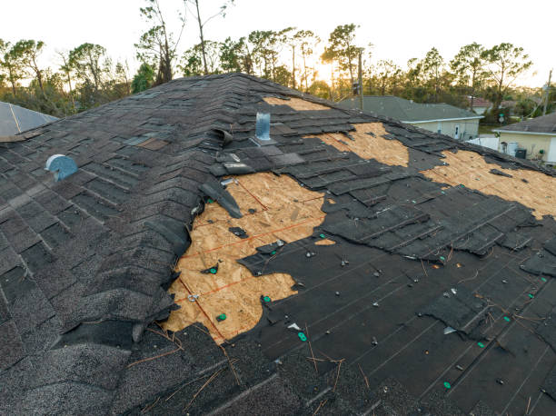 Best Asphalt Shingle Roofing  in Penn Estates, PA